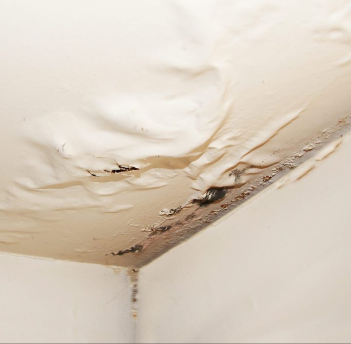 Facts to Know About Water Damage
