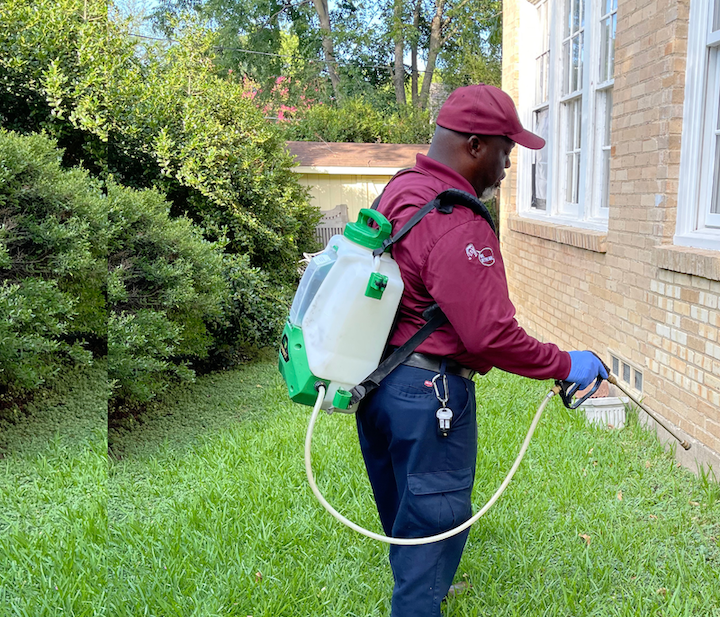 DFW pest control reviews Show Why Homeowners Trust Our Approach