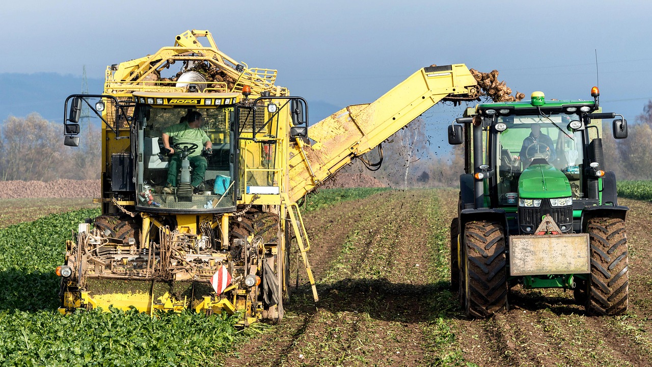 Turnip, vegetables, harvest — Financial institutions benefit from document fraud detection