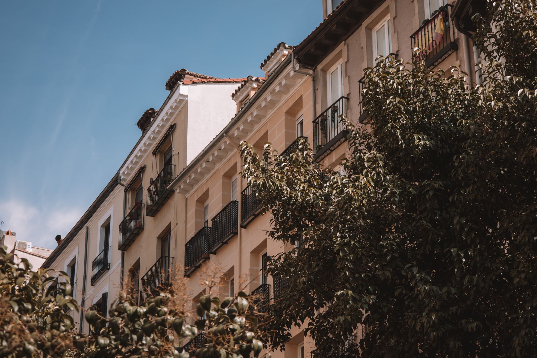 Spain rental market
